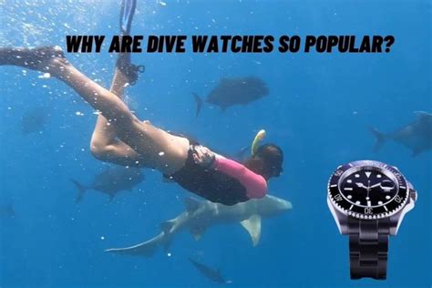 why are dive watches so expensive